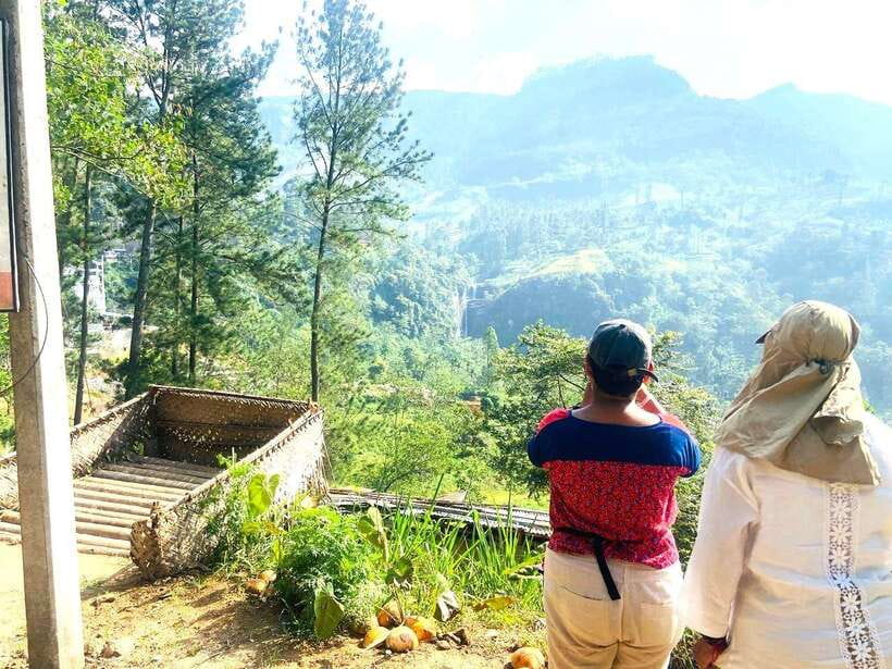 Nuwara Eliya: Tea Factory and Pickle Waterfalls Tuk Tuk Tour - Timing matters more than the headline suggests