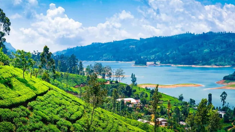 Nuwara Eliya to Kandy: Transfer with Waterfall & Tea Tour - Key points to know before booking