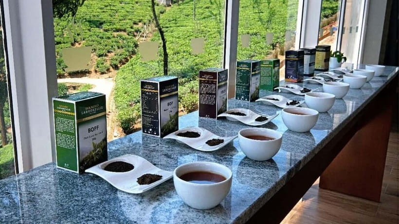 Nuwara Eliya to Kandy: Transfer with Waterfall & Tea Tour - A scenic road from Nuwara Eliya to Kandy