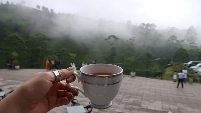 Nuwara Eliya to Kandy: Transfer with Waterfall & Tea Tour - Is $60 good value for this transfer?