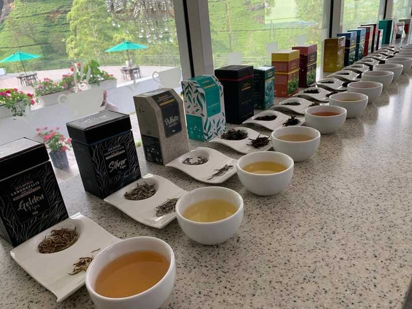 Nuwara Eliya Tuk-Tuk Tour Tea Picking,Tasting &Ramboda Falls - Bluefield and Kingswood: the hands-on tea stop