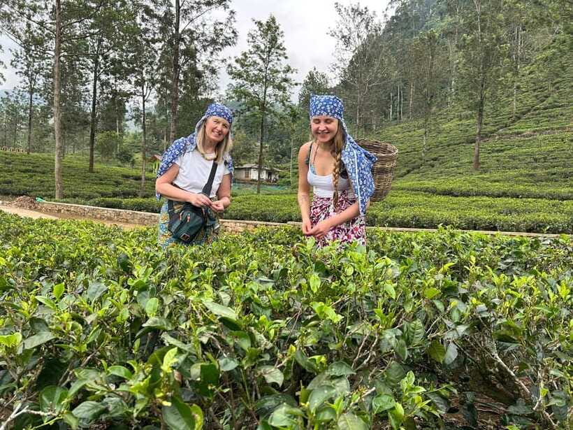 Nuwara Eliya Tuk-Tuk Tour Tea Picking,Tasting &Ramboda Falls - Puna Ella and the Ramboda waterfall area