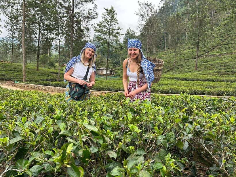 Nuwara Eliya Tuk-Tuk Tour Tea Picking,Tasting &Ramboda Falls - Starting in town at the Royal Post Office