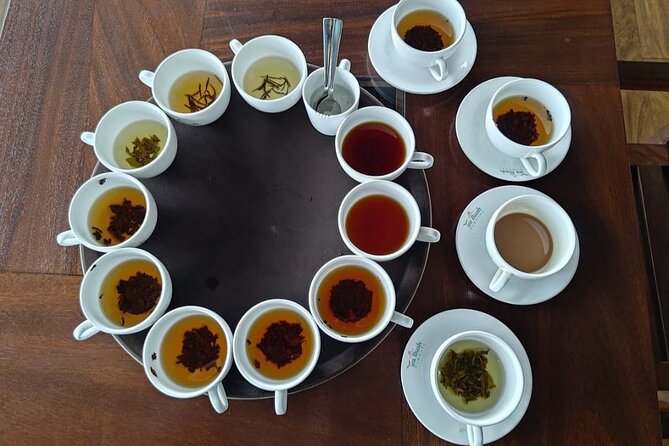 Nuwaraeliya Tea Factory and WaterFall Tour’s With DMJ Tours - Blue Field Tea Factory: the longer tea visit