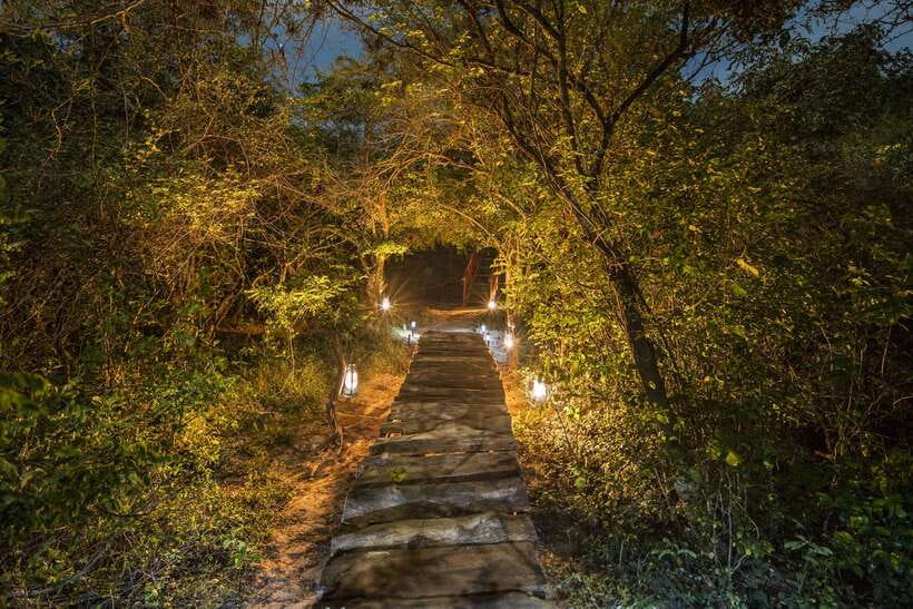 Overnight Treehouse Safari at Yala National Park - Dawn on the nature trail