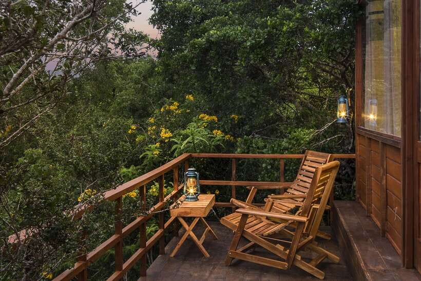 Overnight Treehouse Safari at Yala National Park - Who should book this experience?