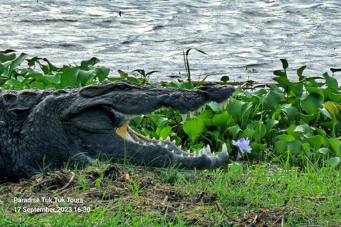 Paradise Bundala Safari Tours - Why Bundala deserves your morning