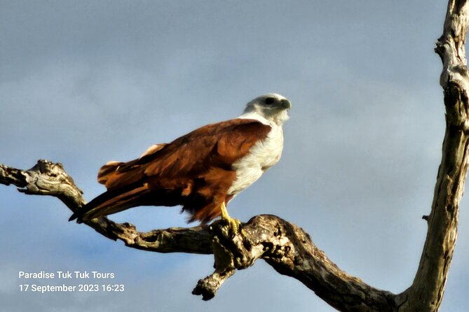 Paradise Bundala Safari Tours - What the private format really offers