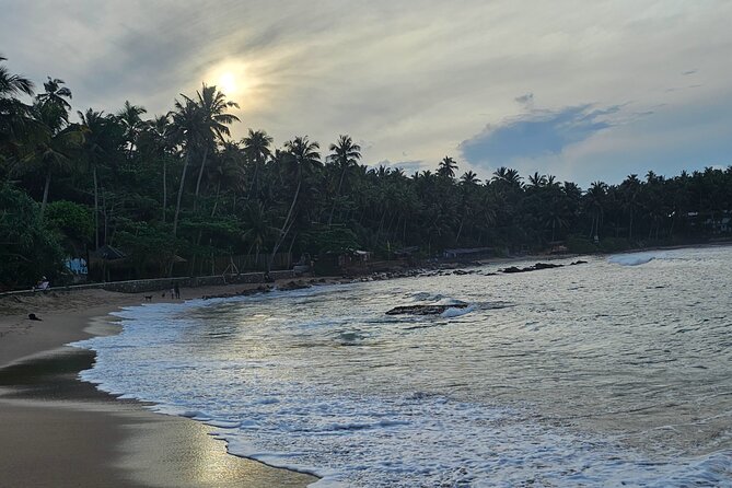Paradise Galle Day Tours - The optional hour at Weligama Snake Farm