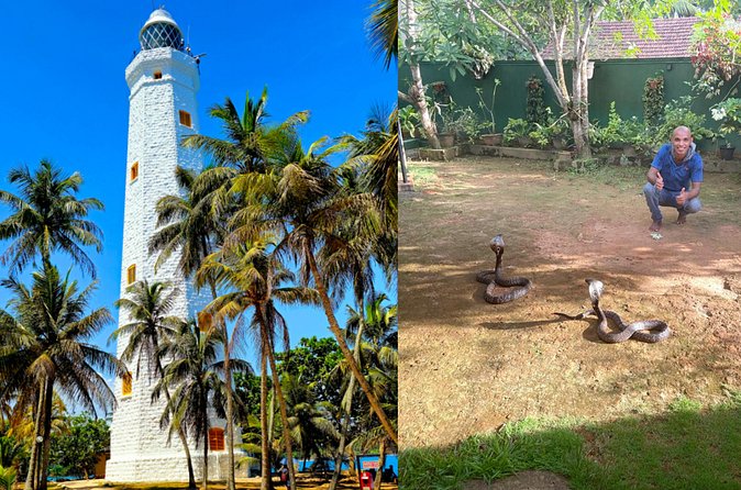 Paradise Galle Day Tours - What the $34 price really covers