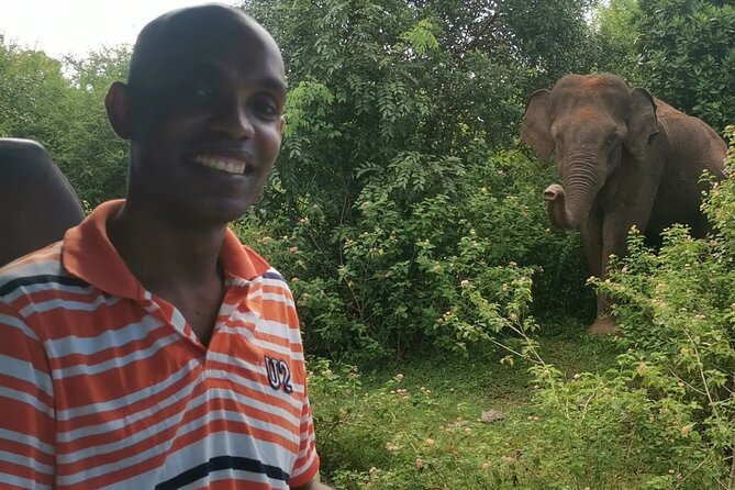 Paradise Udawalawe Safari Tours - Practical details that affect your day