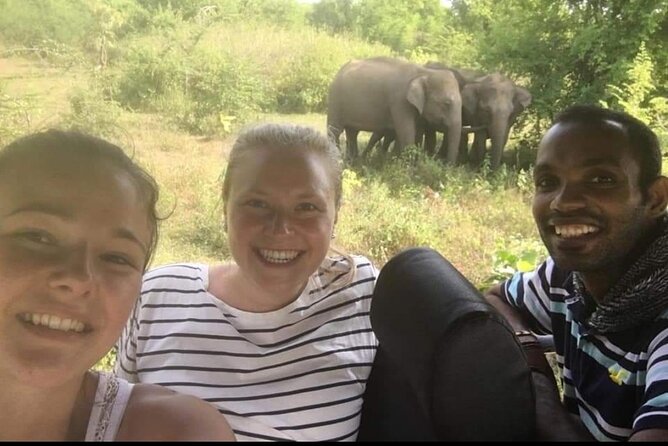 Paradise Udawalawe Safari Tours - Buying your Udawalawe entry ticket