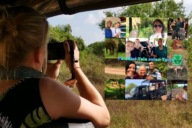 Paradise Yala Safari Tours - Key points to know before booking