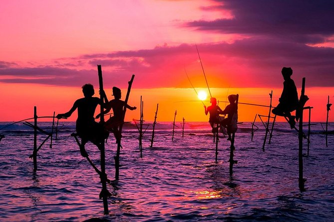 Personal Driver For Your Two Weeks Round Tour In Sri Lanka - Why a private driver makes sense in Sri Lanka