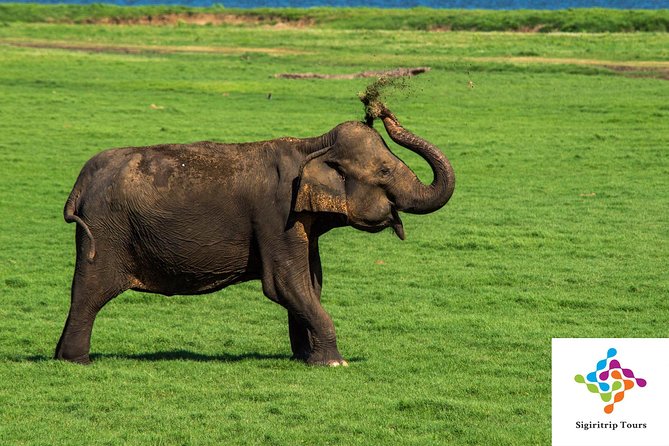 Personal Driver For Your Two Weeks Round Tour In Sri Lanka - Kandy, Peradeniya, and the hill-country road