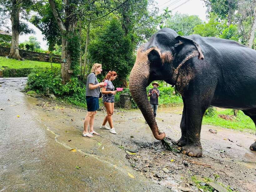 Pinnawala Day Tour from Kandy (Private tour ) - Setting out from Kandy and choosing your pace