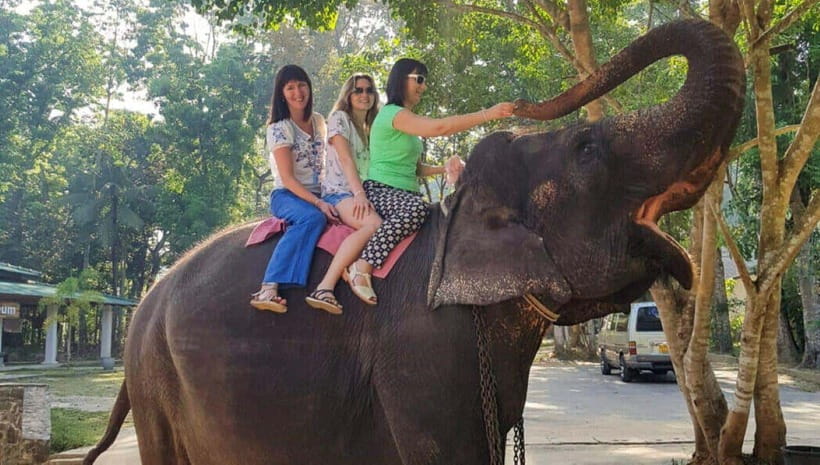 Pinnawala,Kandy Day Tour from Colombo/Negombo - Why this route works as a one-day introduction