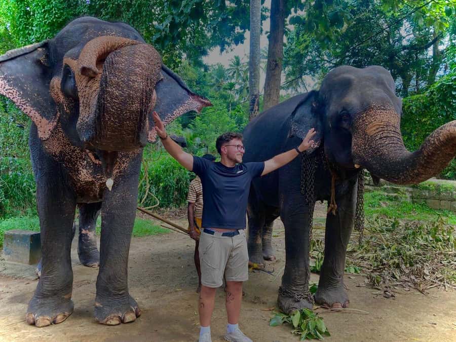 Pinnawala & Kandy Day Tour from Colombo or Negombo - Royal Botanical Garden and Bahirawakanda Temple