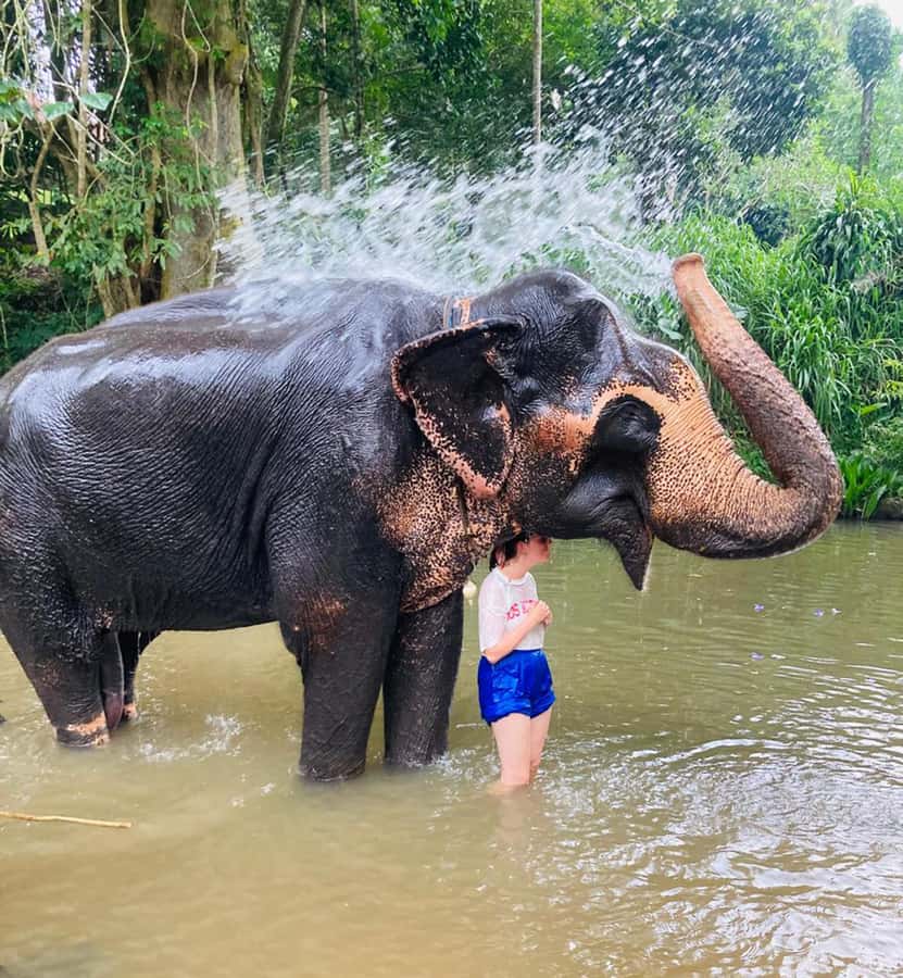 Pinnawala & Kandy Day Tour from Colombo or Negombo - Comfort, Pace, and Who Should Go