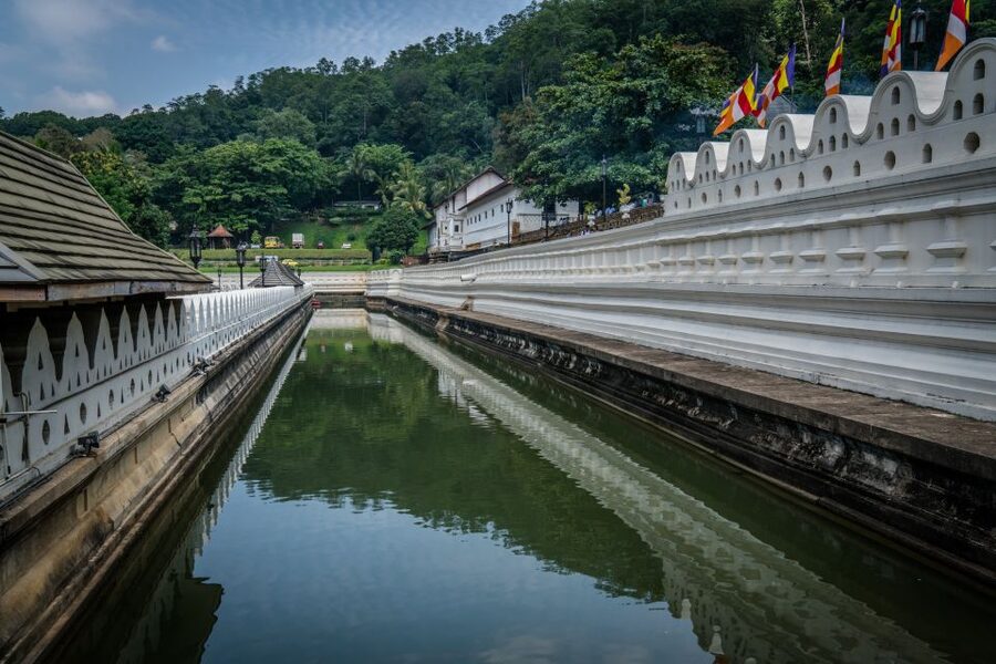 Pinnawala & Kandy Day Tour from Negombo - Tea at the Iragama or Geragama Factory