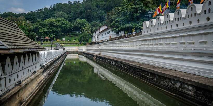 Pinnawala & Kandy Day Tour from Negombo - What the small group and vehicle add