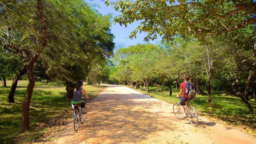 Polonnaruwa: All Inclusive Ancient City Guided Cycling Tour - Key points at a glance