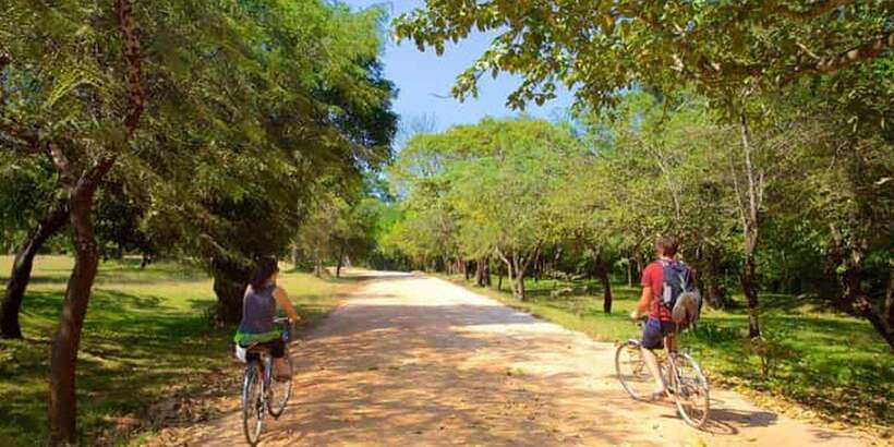 Polonnaruwa: All Inclusive Ancient City Guided Cycling Tour - Stone carvings and the small details