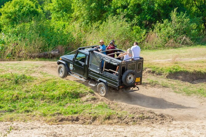 Polonnaruwa Ancient Kingdom and Wild Elephant Safari from Habarana - Leaving Habarana at 8:30 am