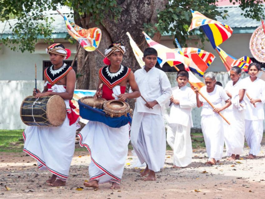 Polonnaruwa Day Tour With Minneriya NP Elephant Safari - The drivers are a major part of the experience