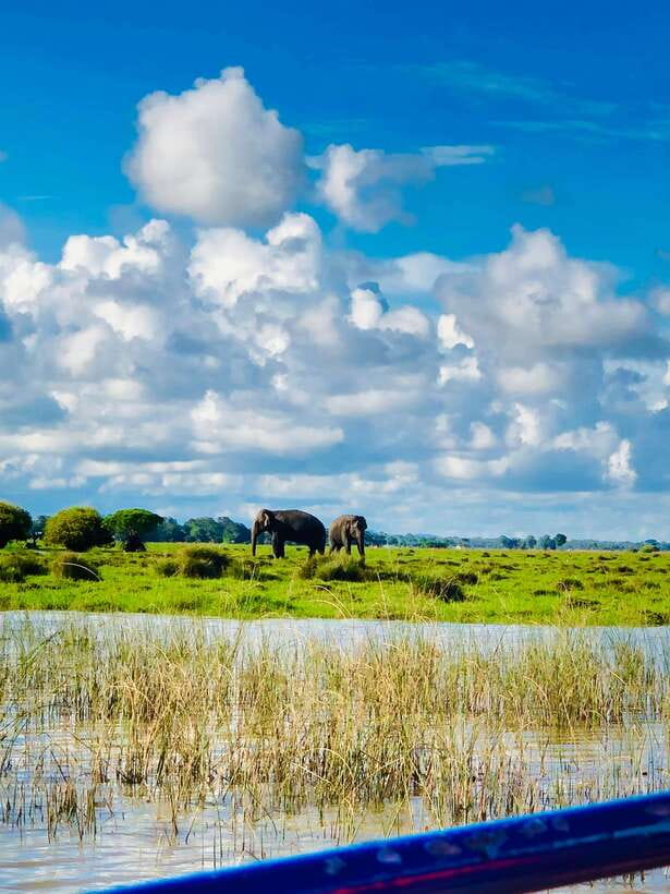 Pottuvil Lagoon Eco Tour : Mangrove Adventure in Arugam Bay - Quick highlights of the Pottuvil Lagoon safari