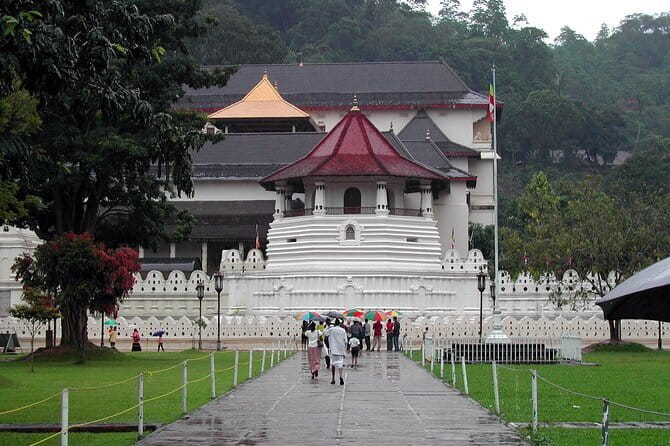 Private All Inclusive Day Tour to Kandy from Colombo and Negombo - Key points at a glance