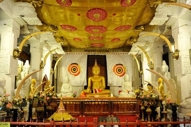 Private All Inclusive Day Tour to Kandy from Colombo and Negombo - Why this Kandy day trip works