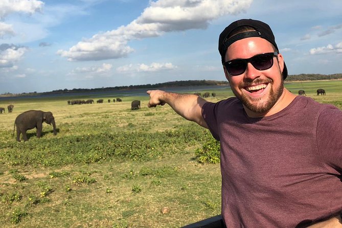 Private Car & Driver for 07 Days Tour In Sri Lanka - Day 1: Dambulla caves and elephant country