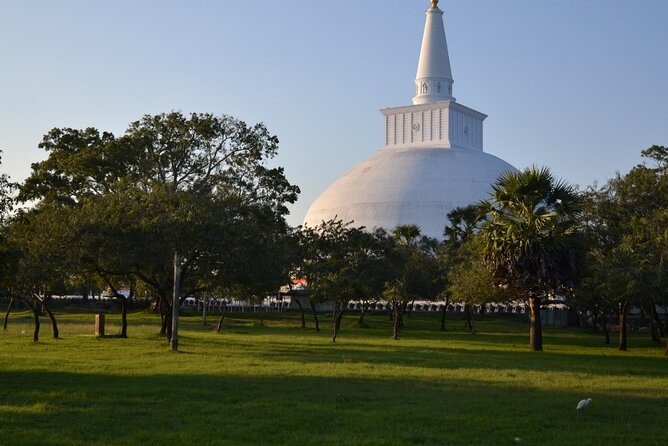 Private City Day Tour in Anuradhapura - What Navin adds to the experience