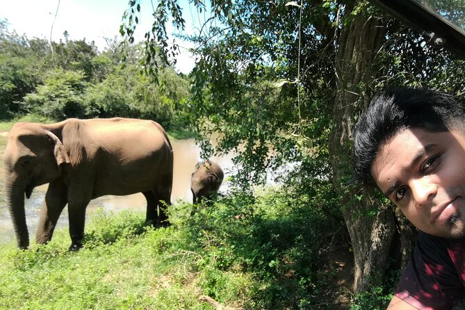Private Dambulla Sigiriya Tour from Kandy with friendly chauffeur - Climbing Sigiriya’s Ancient Rock Fortress
