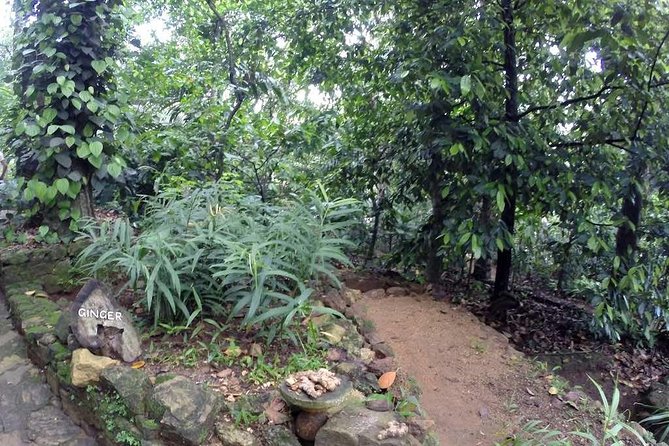Private Dambulla Sigiriya Tour from Kandy with Lunch - Lunch brings the most local flavor