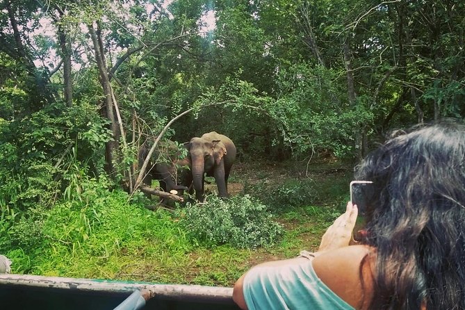 Private Dambulla Sigiriya Tour from Kandy with Lunch - Dambulla Cave Temple rewards a slow look