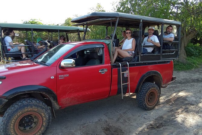 Private Day Tour from Colomb to Yala Safari (Leopard Safari Tour) - From Colombo to Yala, a very long wildlife day