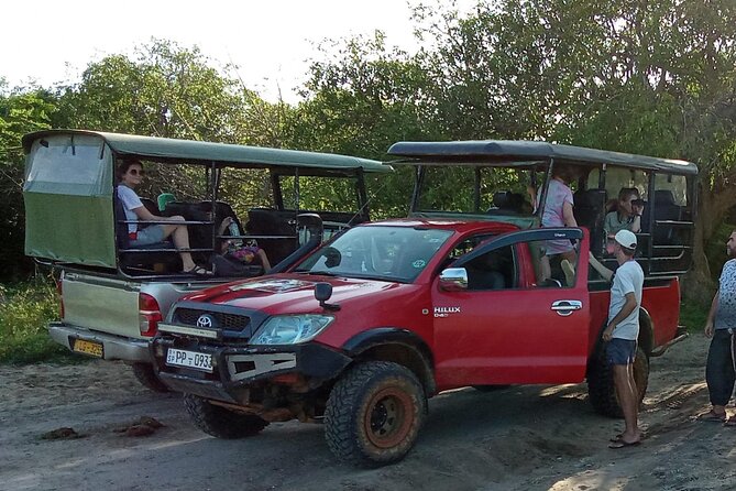 Private Day Tour from Colomb to Yala Safari (Leopard Safari Tour) - The private vehicle is the real convenience