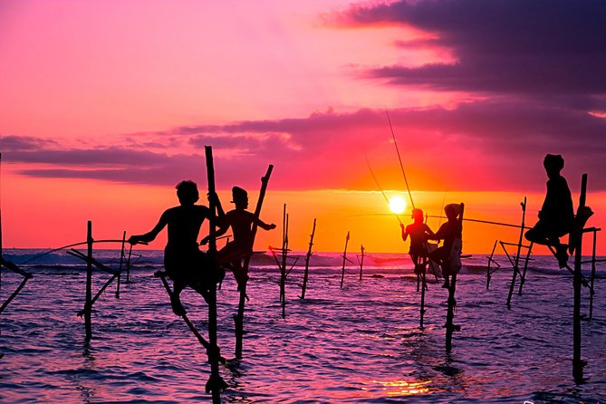 Private Day Tour from Colomb to Yala Safari (Leopard Safari Tour) - Booking timing, weather, and cancellation
