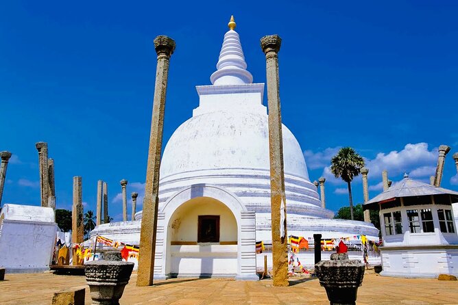 Private Day Tour Of Anuradhapura Ancient Kingdom and Avukana - Is $120 Per Person Good Value?