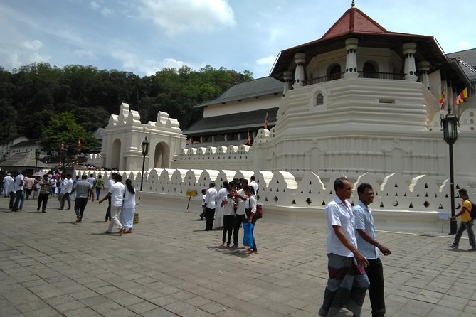 Private Day trip Kandy & pinnawala with your selected attractions - Spice Grove: useful plants, a massage, and a sales pitch
