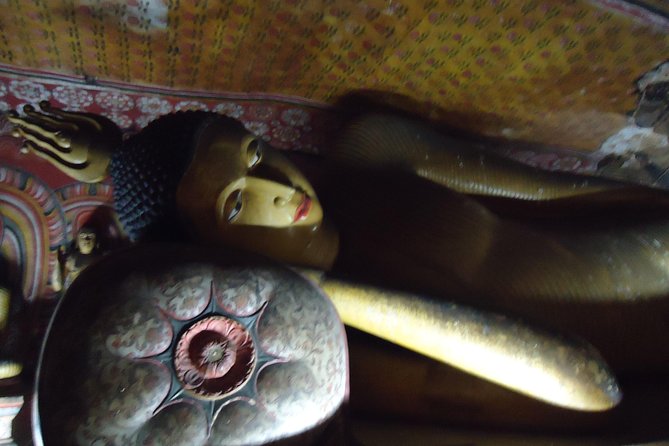 Private Day Trip to Sigiriya & Dambulla from Kandy – Aaliya Tours - Minneriya National Park adds wildlife, but not simplicity