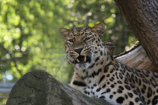 Private Day Trip to Yala National Park from Colombo - Galle Dutch Fort gives the morning a cultural start