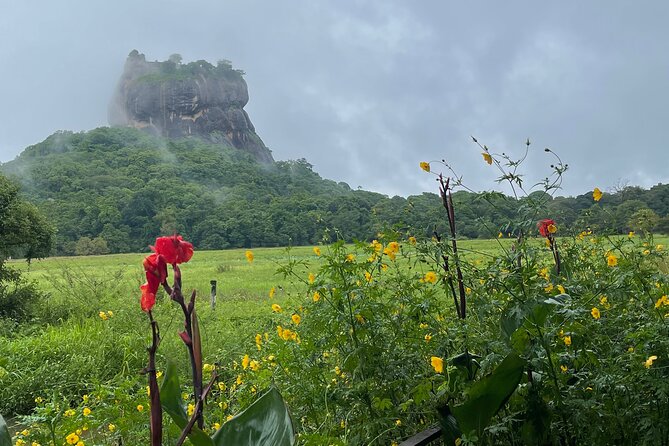 Private Full Day Tour Sigiriya and Dambulla From Kandy - The private car is part of the value