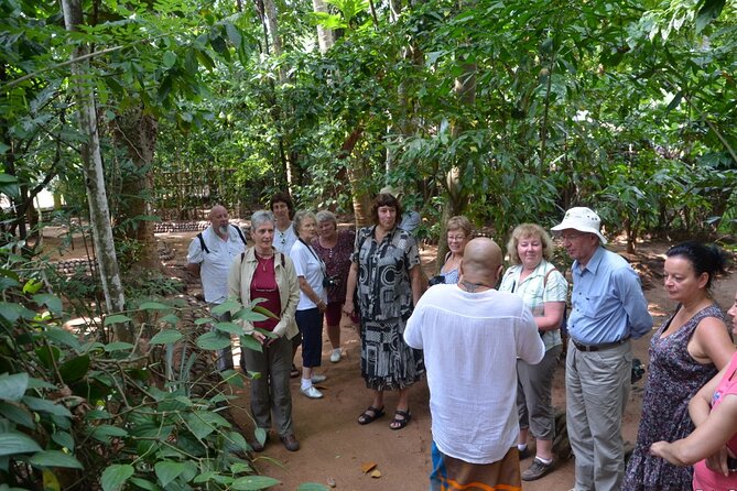 Private Galle Day Tour with Boat Safari & Tea Factory Visit - All Inclusive - Galle Dutch Fort in one focused hour