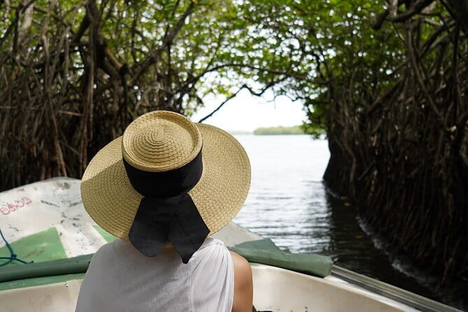 Private Galle Day Tour with River Safari, Stilt fishing & Turtles - Madu River safari through the mangroves
