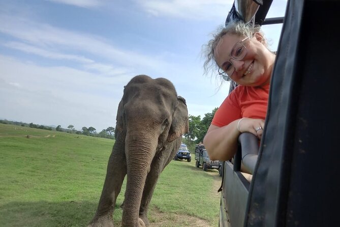 Private Jeep Safari at Minneriya National Park to Visit Elephants - Other Wildlife You May Spot