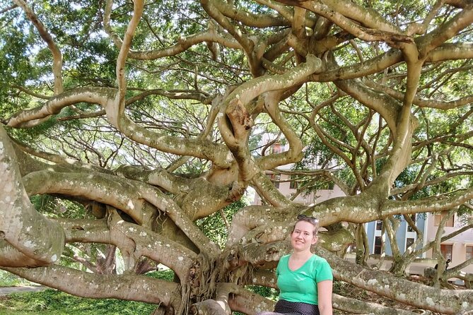 Private Kandy City Tour: Temple of the Tooth & Lake Highlights - Bahirawakanda and its giant Buddha