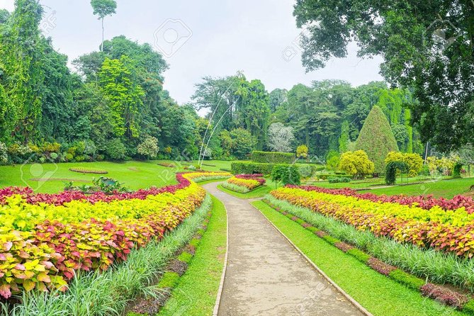Private Kandy Day Tour from Colombo - Why this private Colombo to Kandy trip works